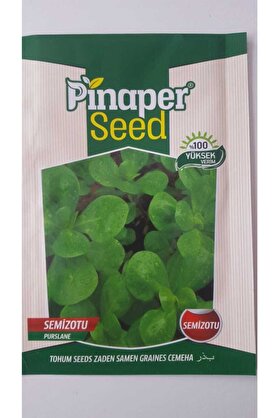 Pi̇naper Seed Semi̇zotu Tohumu 1 Paket %100 Yüksek Veri̇mli̇di̇r.