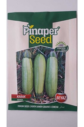 Pi̇naper Seed Kabak Beyaz Tohumu 1 Paket %100 Yüksek Veri̇mli̇di̇r.