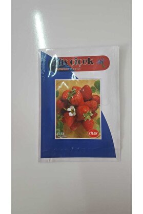 Mi̇s Çi̇çek Çi̇lek Tohumu 1 Paket %100 Yüksek Veri̇mli̇di̇r.
