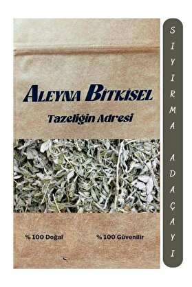 Aleyna Bitkisel Adaçayı 250 G Yeni Mahsül