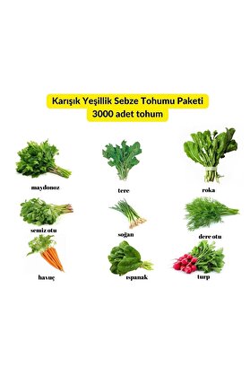 Bade Shop 9 Çeşit Karışık Sebze Ve Yeşillik Tohum Paketi - 4000 Adet Tohum