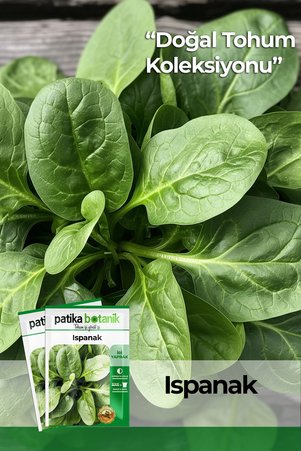 Patika Botanik 250 Adet Yerli Ispanak Tohumu