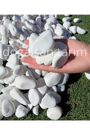 Doğalsan Tarım Beyaz Dolomit Taş 1 Kg 2-4 Cm Dere Taşı Çakıl Taşı Saksı Taşı Akvaryum Teraryum Taşı Bahçe Taşı