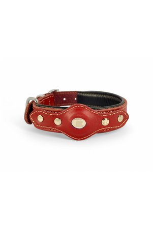 Canini Collar Hakiki Klasik Deri AirTag Uyumlu Köpek Tasması – Dayanıklı Konforlu ve Şık Tasarım