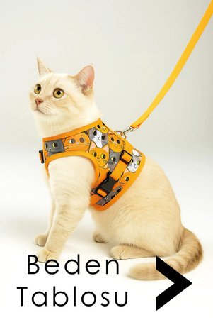 Genel Markalar Kaçış Önleyici Kedi Gezdirme Tasması