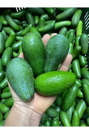 ARI ORGANIC Avokado 1kg- Mini Boy