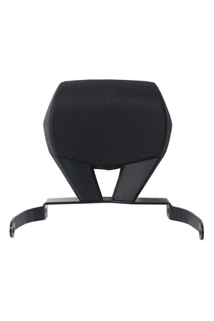 GP KOMPOZİT Honda Forza 250 2023-2025 Uyumlu Sissy Bar Siyah