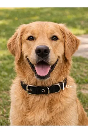 hebmeyy Yumuşak Dokulu Dayanıklı Köpek Tasması Kolon Dokuma Özel Dokulu Nefes Alabilir Köpek Tasması