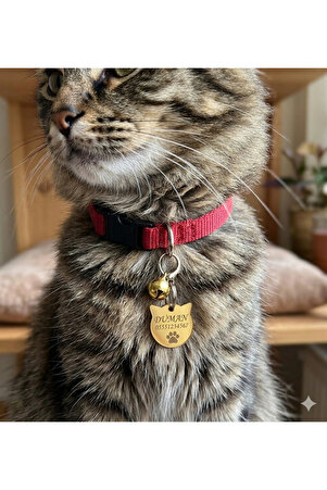 hebmeyy Kedi Isimlik Ve Tasma Seti Kişiye Özel Isimlik