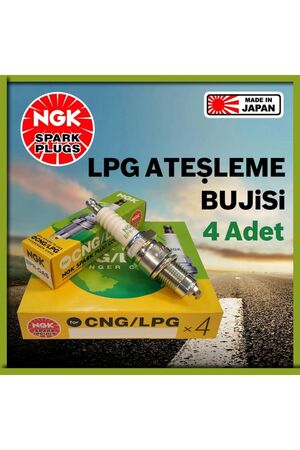NGK 7988 Buji Takımı Lpg/Renault R11/R12 Toros/R19 Eropa/R21/R9 Brodway