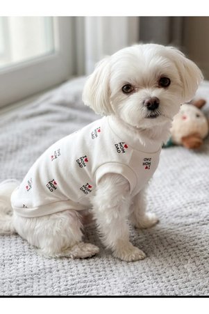 atelyu kedi köpek kıyafeti mum and dad tshirt atlet