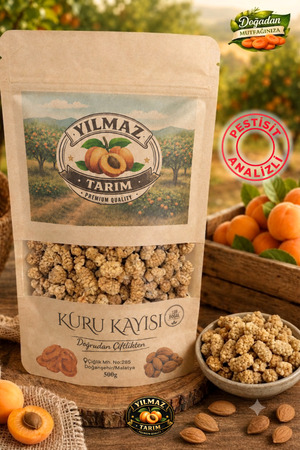 YILMAZ TARIM ORGANİK Beyaz Dut Kurusu - Doğal Katkısız 250 Gr