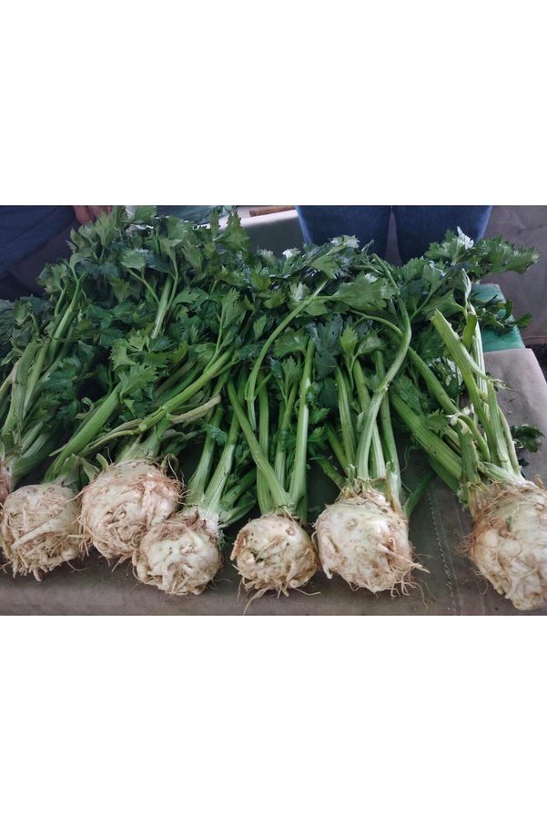 Arzuman Tohumculuk Yerli̇ Kerevi̇z Tohumu - Açık Tohum 20 Gr