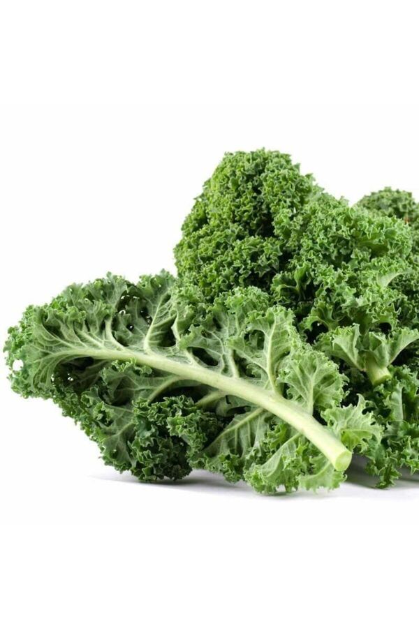 Zengarden Ev Ve Bahçe Kıvırcık Bodur Kale Lahana Tohumu Dwarf Curled Kale Vates