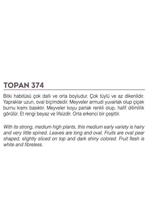 Agrodal Tohum Ata Tohumu Yöresel Yerli̇ Doğal Topak Patlıcan Tohumu 100 Adet Tohum