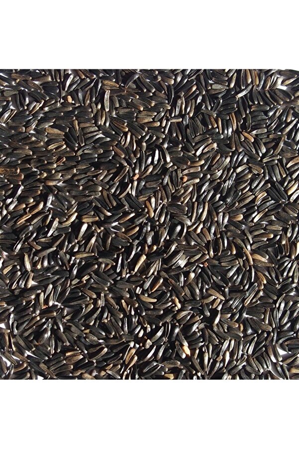 Bade Shop 150 Gr - Ni̇jer Tohumu - Kuş Yemi̇