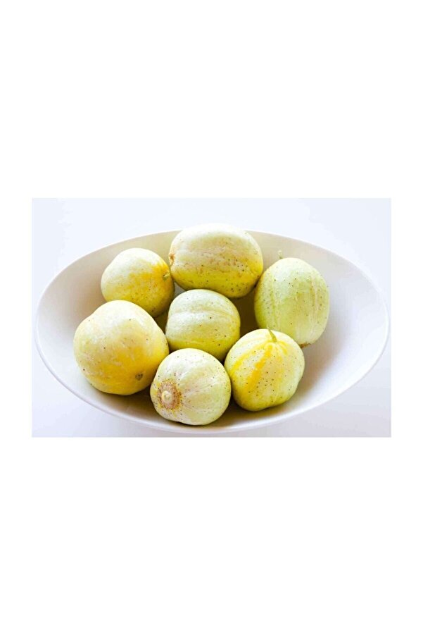 Çam Tohumculuk Nadi̇r İthal Li̇mon Salatalık Tohumu 5 Adet Tohum Sarı Salatalık Lemon Cucumber
