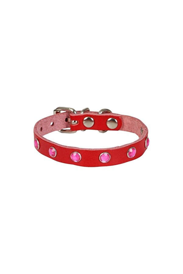 Seçki̇n Trend Taşlı Kedi̇ Ve Yavru Köpek Tasması 1*23 Cm Kırmızı Medi̇um