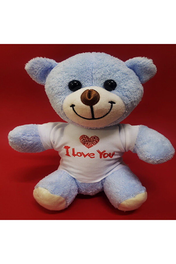 Evi̇mdeyokyok I Love You Ayıcık