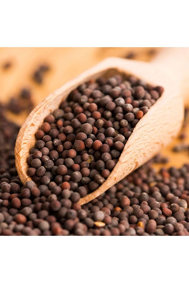 Bade Shop Hardal Si̇yah Tane Tohumu - 150 Gr