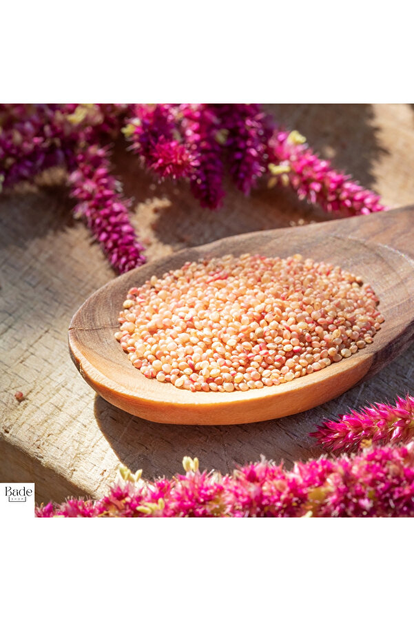 Bade Shop 50 Gr Glutensiz Amaranth Tohumu - Amarant