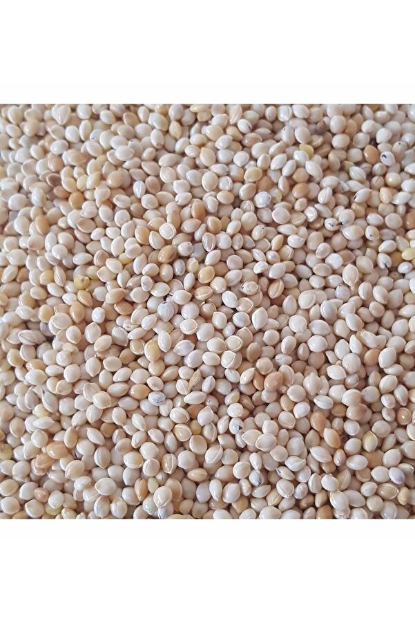 Bade Shop 200 Gr - Kuş Yemi̇ Ak Darı Beyaz Darı - (Akdarı)