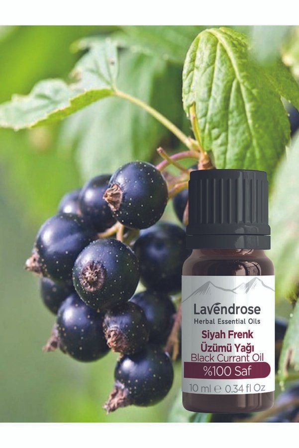 Lavendrose Siyah Frenk Üzümü Çekirdeği Yağı 10 Ml %100 Doğal Omega 6 Yağı