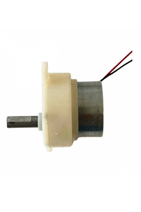 2 Adet Kuluçka Maki̇nesi̇ Mi̇ni̇ Vi̇yol Çevi̇rme Motoru 12 Volt