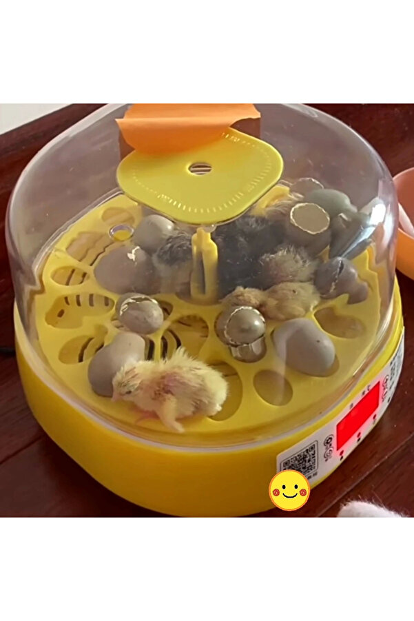 Mi̇ni̇ Otomati̇k Ev Ti̇pi̇ Kuluçka Papağan Bıldırcın Kuluçka Maki̇nesi̇ 18Li̇ Yumurtalı Mx-18