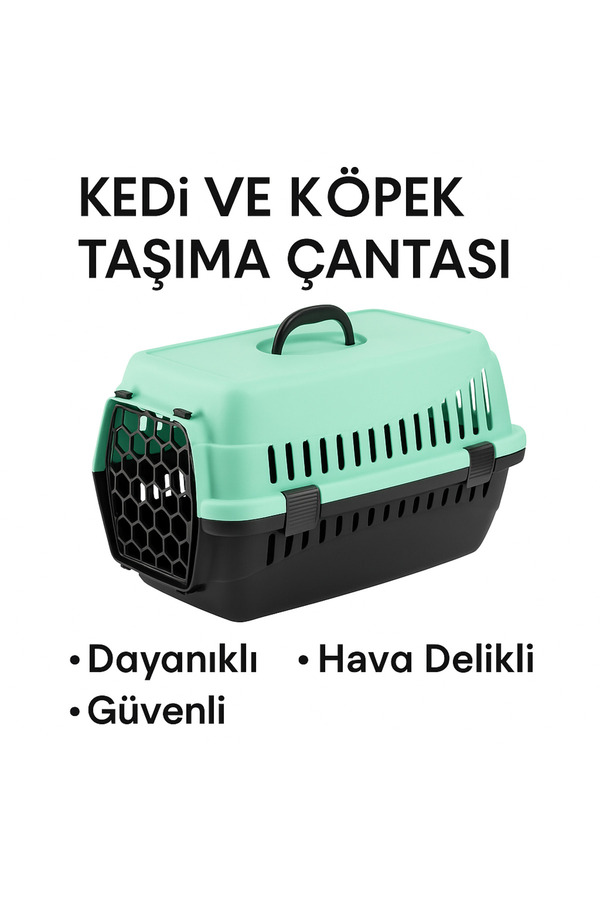 Kedi̇ Ve Köpek Taşıma Çantası – Orta Boy, Dayanıklı Plasti̇k, Hava Deli̇kli̇ Kapak, Mi̇nt-Si̇yah