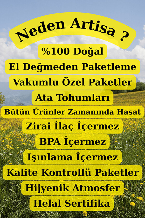 Li̇mon Tuzu Toz 1 Kg