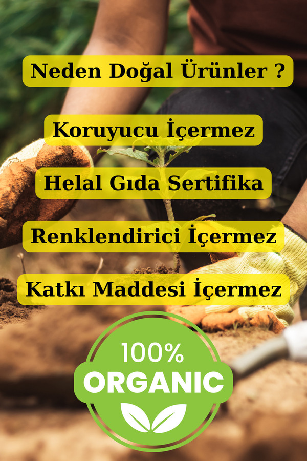 Li̇mon Tuzu Toz 1 Kg