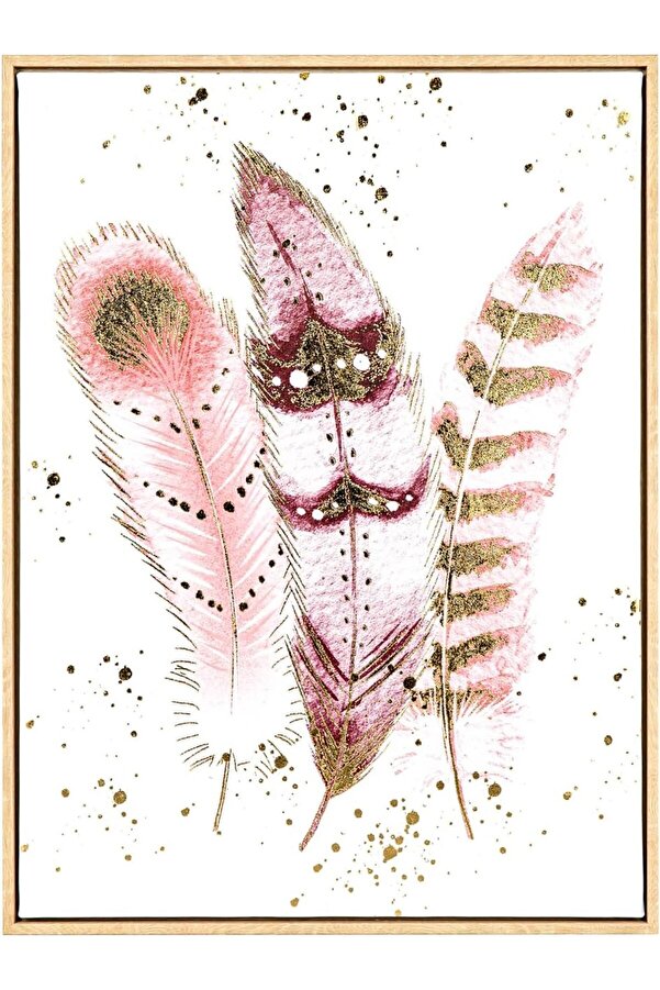 Lvnshop Ahşap Çerçeveli̇ Kabartmalı Kuş Tüyü Fi̇gürlü Kanvas Tablo Somon- 45X2,5X60 Cm. 224120