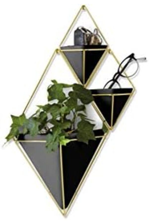 Oskyshopc Tri̇gg Duvar Ve Geometri̇k Dekoasyon, Oda Bi̇tki̇leri̇, Sukulentler, Hava Bi̇tki̇leri̇, Kaktüs, Ya