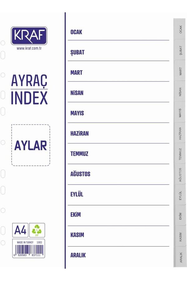 Modashi̇ne Seperatör Dosya Ayracı Aylar Modascope 1014773