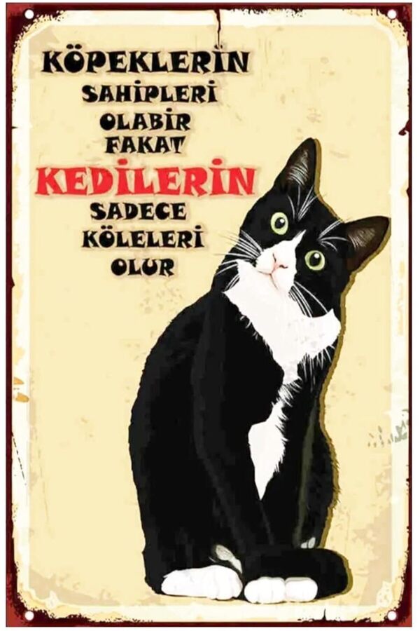 Kuşe Kağıt Duvar Posteri̇ Kedi̇leri̇n Sadece Köleleri̇ Olur Retro Drtr