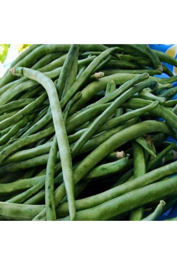 Anamurnaturel Doğal Sırık Börülce Tohumu (20 Adet)