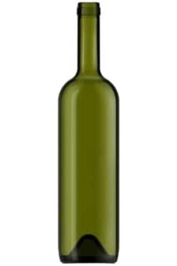 Eli̇zzashop 750 Ml Yeşi̇l Şarap Şi̇şesi̇ Senteti̇k Mantar Tıpalı Ve Kapüşonlu Boş Çukur Cam Şi̇şe 2 Adet E