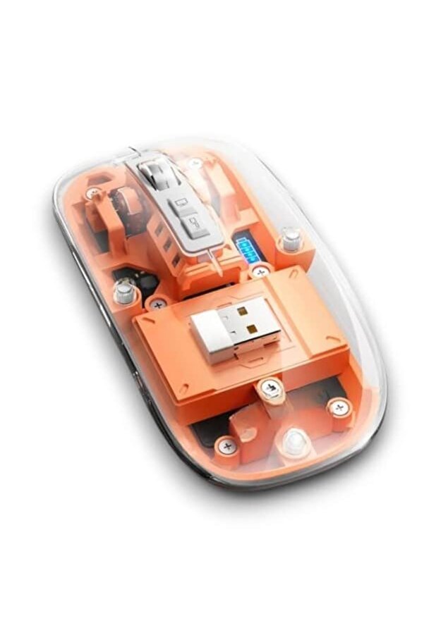 Pg9010 Mouse Fare
