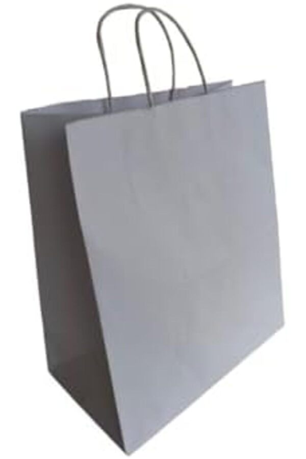 Brfshop Saplı Kâğıt Torba Çanta Beyaz Kraft Torba Çanta 26X14X30 Cm (25 Adet) 1165984