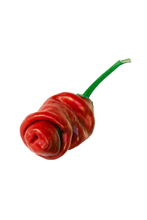 Muka Botani̇k Nadi̇r Ithal Kırmızı Acı Bi̇ber Tohumu 5 Adet Tohum
