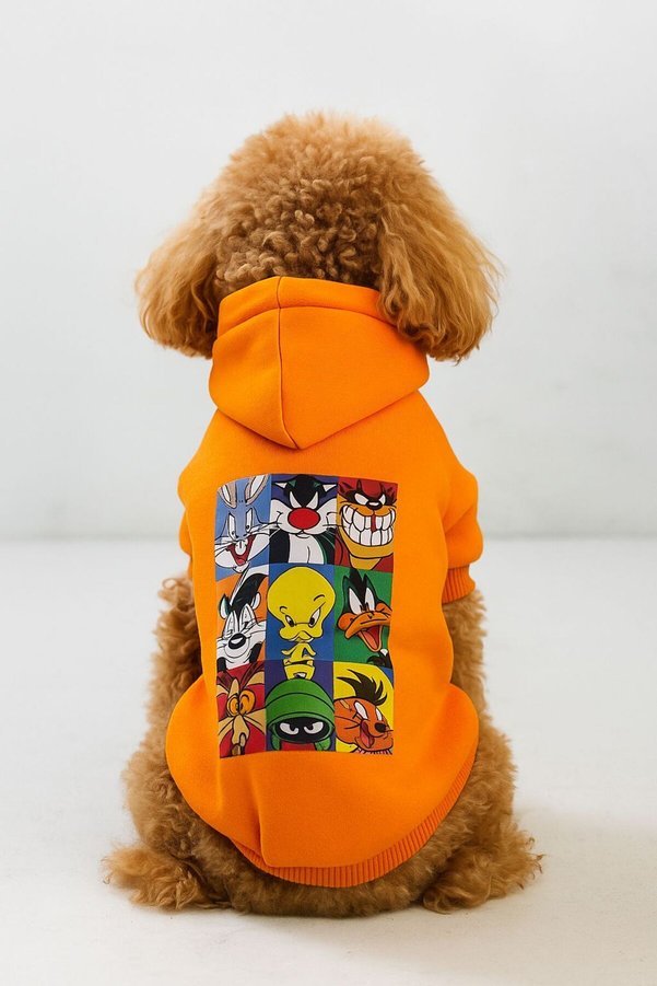 PetiliDünya looney turuncu hoodie sweat kedi köpek kıyafeti