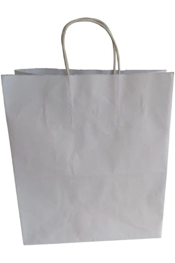 Brfshop Saplı Kâğıt Torba Çanta Beyaz Kraft Torba Çanta 26X14X30 Cm (25 Adet) 1165984