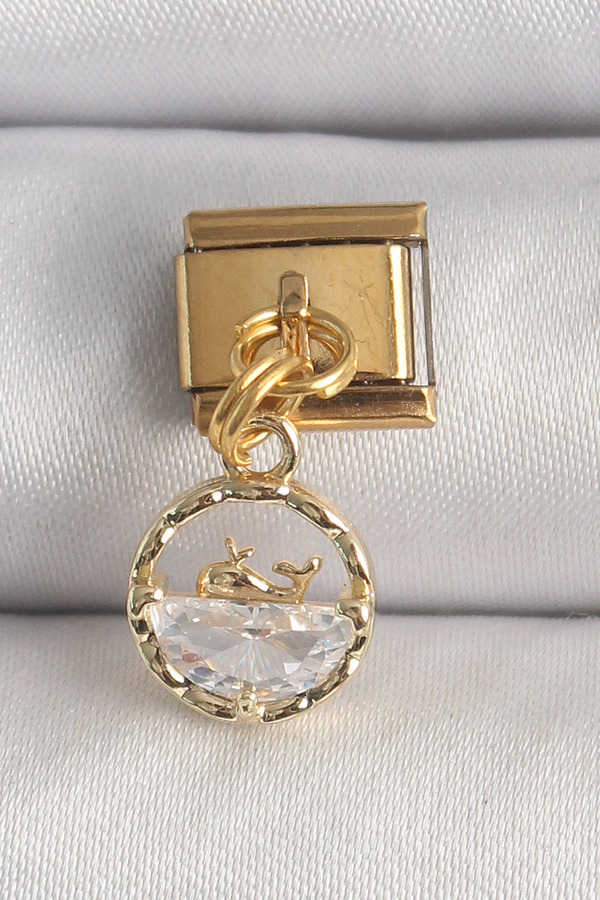 Modamtn Bfs 316L Çeli̇k Gold Renk Sallantı Zi̇rkon Taşlı Bali̇na Model Nomi̇nati̇on Charm