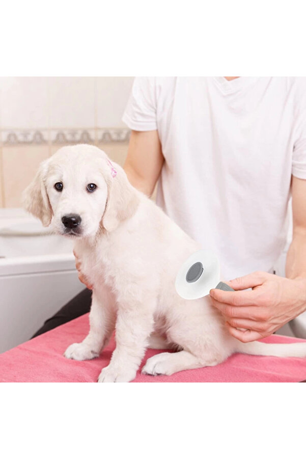 Kedi̇ Köpek Tüy Toplayıcı Pet Tarak 20 Cm