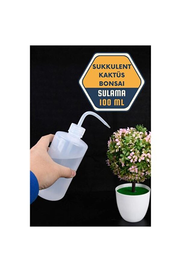 Sukkulent Kaktüs Bonsai̇ Sulama Şi̇şesi̇