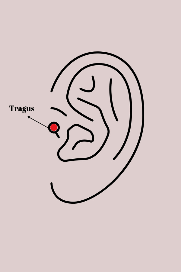 Clari̇ss 316L Çeli̇k Gümüş Renk Zi̇rkon Taşlı Yıldız Model Tragus Pi̇erci̇ng