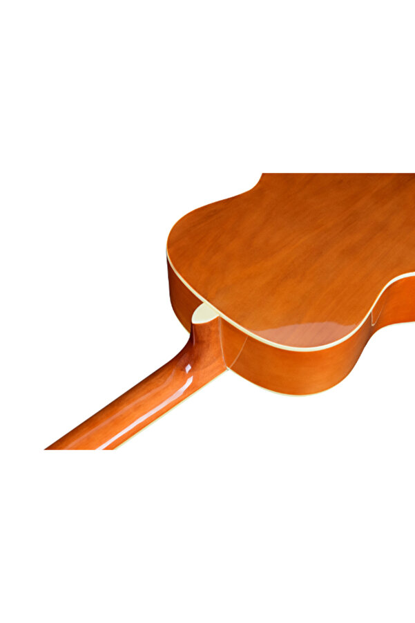 Tayste TS-CG31-39 Natural 4/4 Klasik Gitar