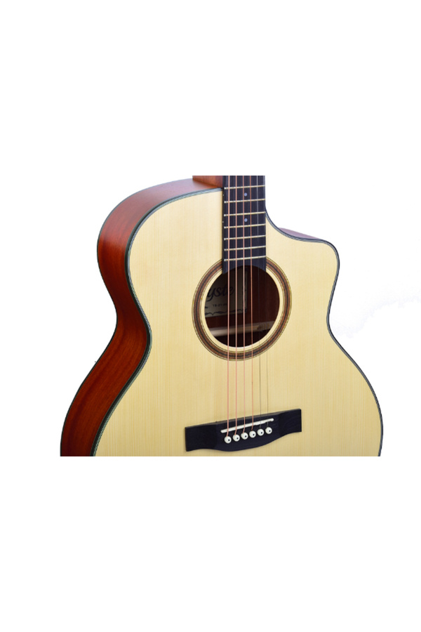 Tayste TS21-40 Akustik Gitar