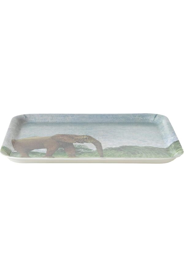 Shopverse Concept Kaydırmaz Tepsi̇ 24 Cm, Elephant Trendfli̇ck 1014773